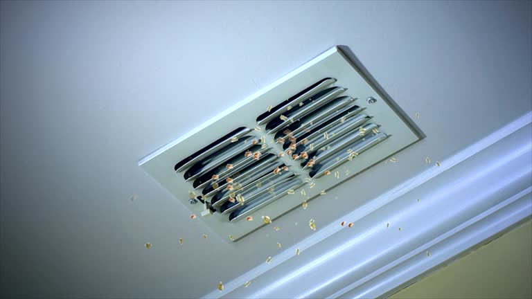Ventilation Cleaning Services in Tennessee Ridge, TN